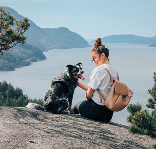 The story behind Heelr