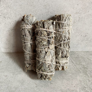 West Coast White Sage