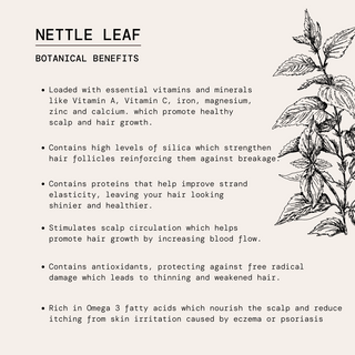 Sweet Woods Conditioner