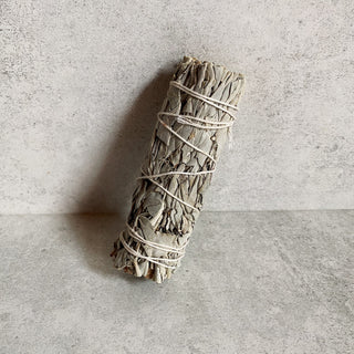 West Coast White Sage