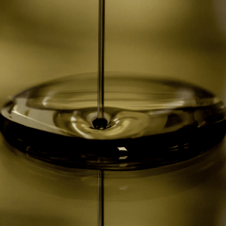 Holistic Hair Health Oil & Comb Set