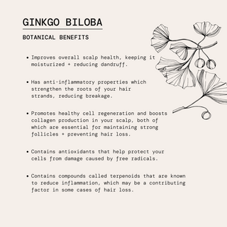 Sweet Woods Conditioner