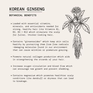 Sweet Woods Conditioner