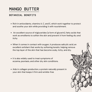 Gold Soul Body Butter