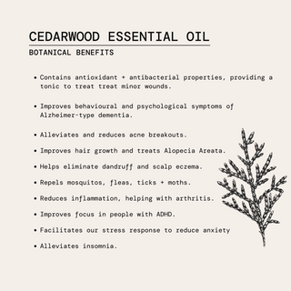 Sweet Pepper Perfume Oil