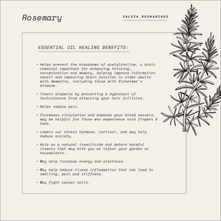 Protect Me Purifying Spray