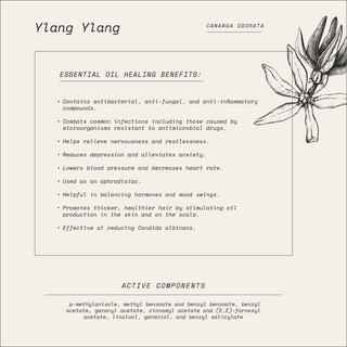 Smoky Flower Perfume Oil